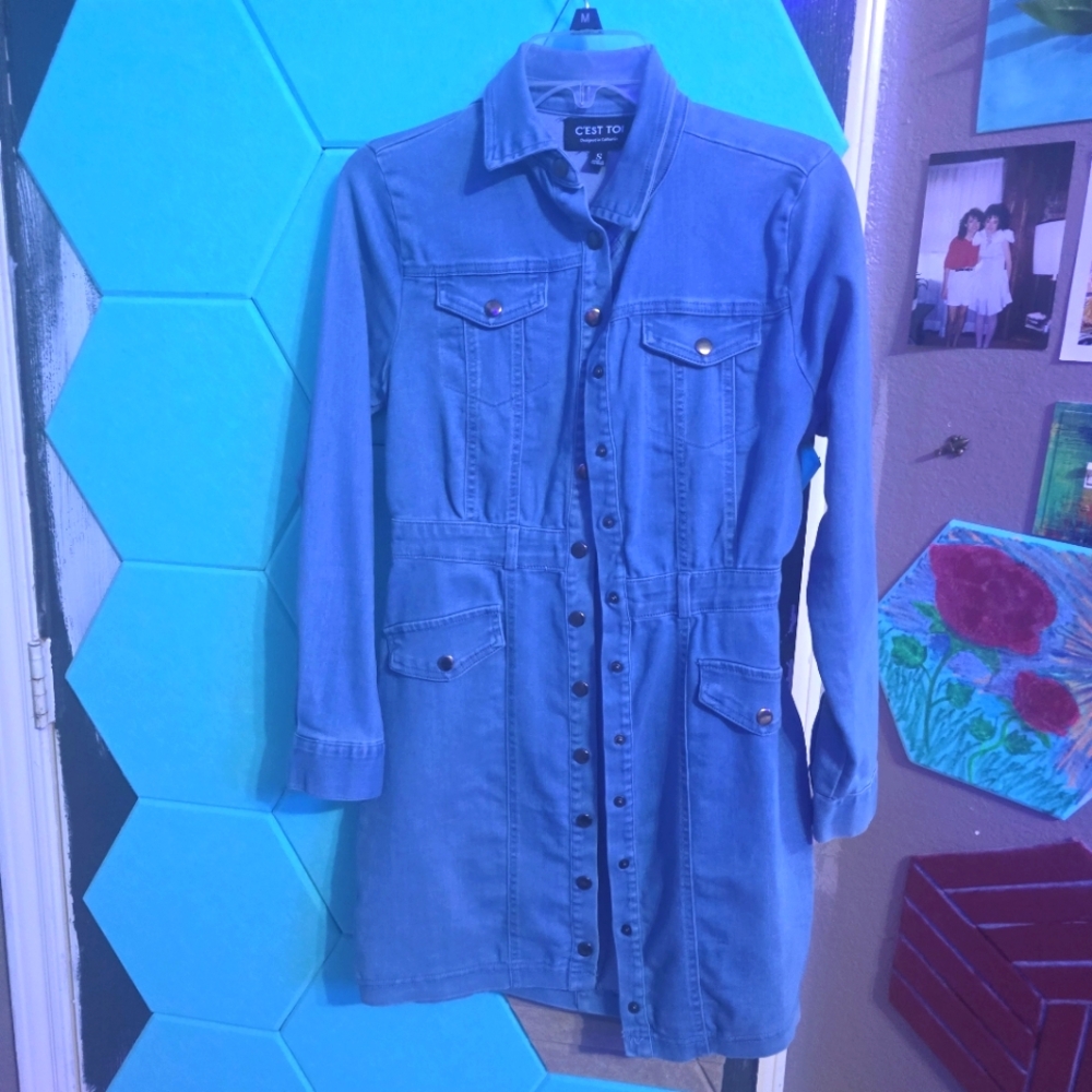 Demin button down dress